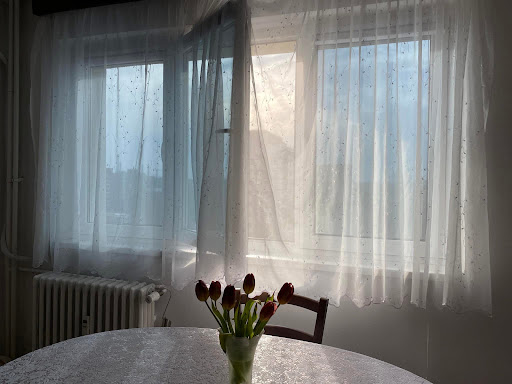 Photo from customer review